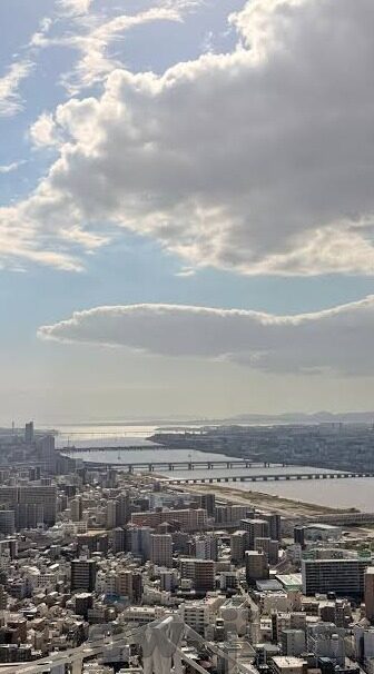 大象传媒的频道-大象传媒，重塑传媒领域的多元化频道探索