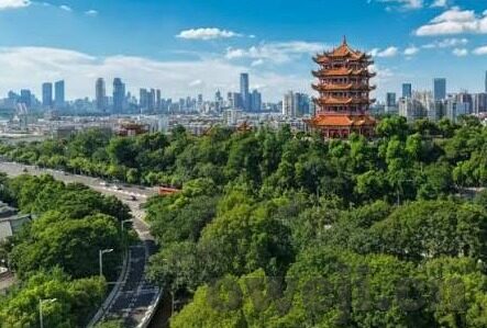 糖心app官网免费下载-畅游数字世界，解锁糖心app的免费之旅